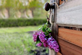 Lillac Cottage Ancona